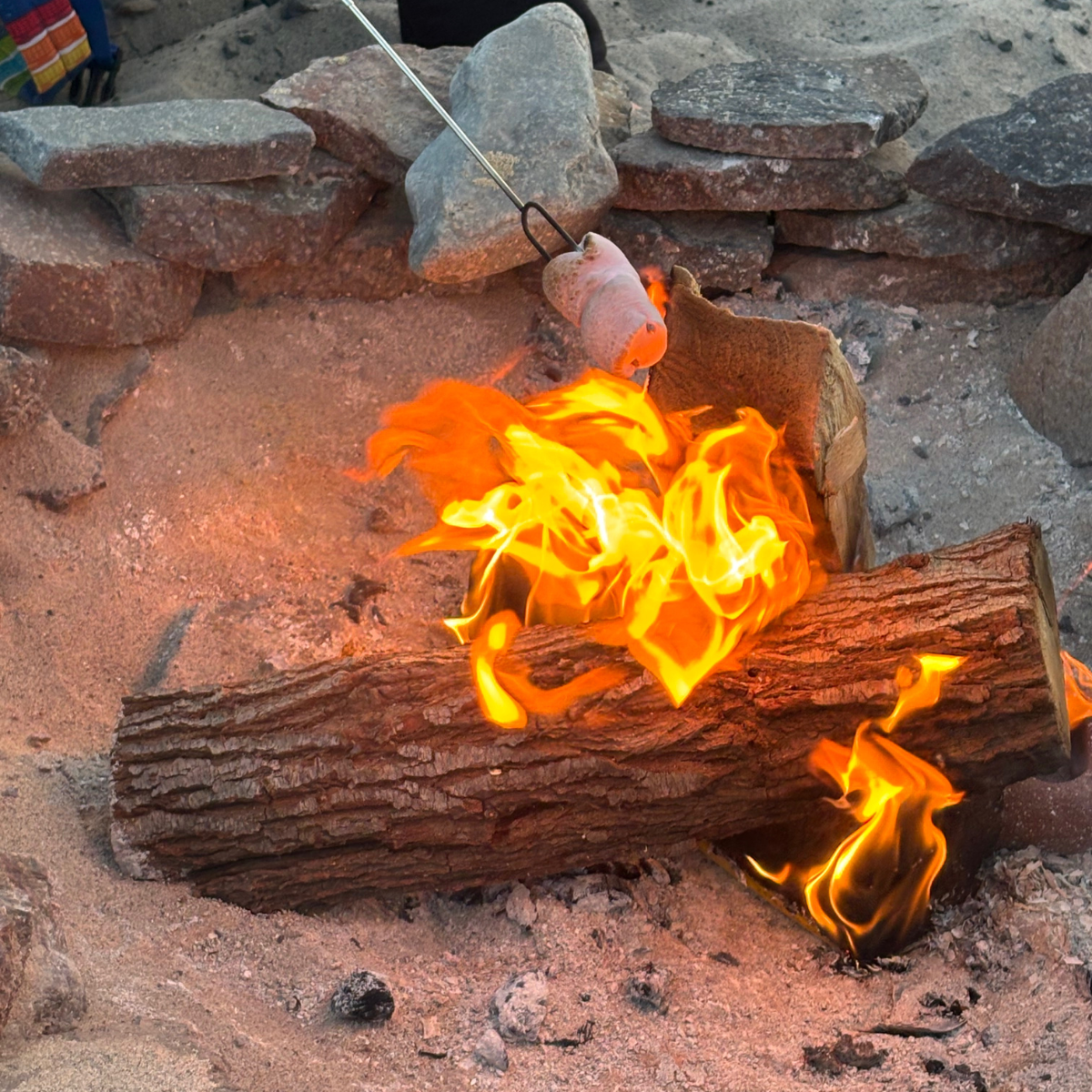 Beach Bonfire and S’mores for 6
