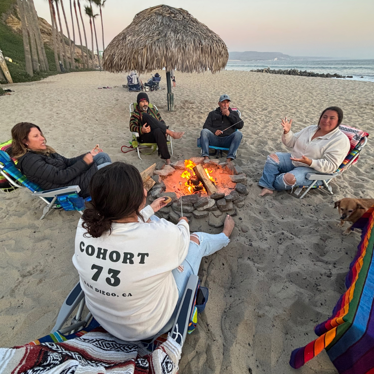 Beach Bonfire and S’mores for 6