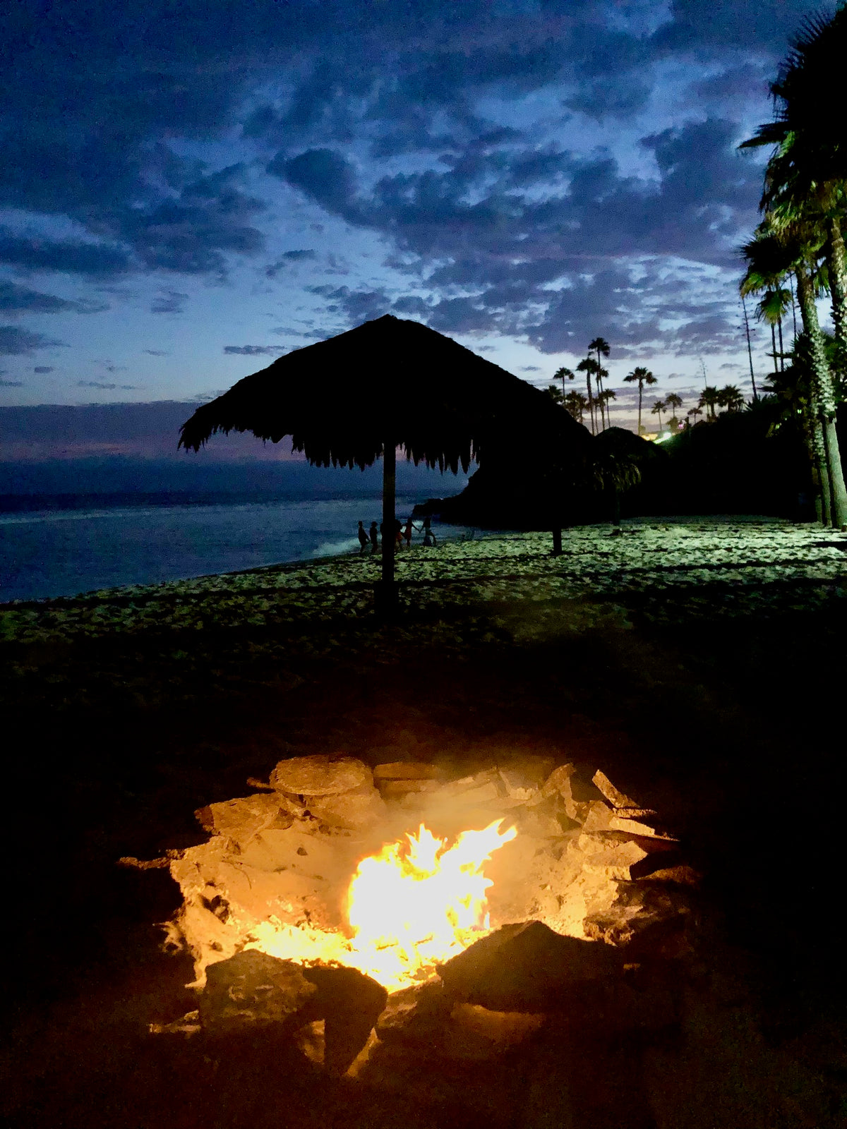 Beach Bonfire and S’mores for 6